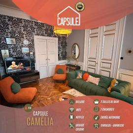 Capsule camelia un charme Montois, Hotel in Mons