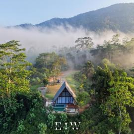 8 Acres Tea Escape, hótel í Deniyaya
