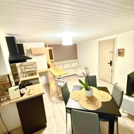Appartement Neuf, hotell i Rive-de-Gier