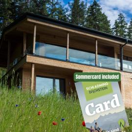 Ferdi Mountain Base Luxury Lodge in Dachstein Mountains, hotel em Pichl