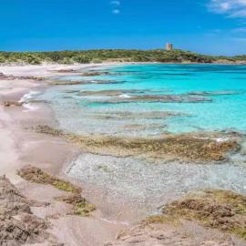 Sardegna selvaggia a due passi dal mare