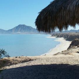 Playa de Oro Casita San Felipe - Gate Casita, hotell sihtkohas San Felipe