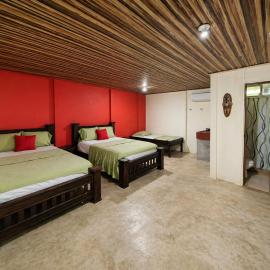 Hostel Osa Tucan Drake, hotel i Drake