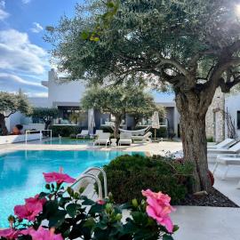 Thassos OLIVIA RESORT, хотел в Потос