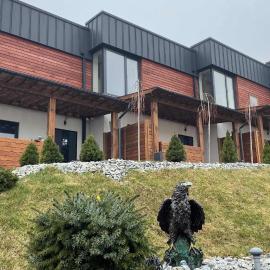 Aerie Eco Villa, hotel in Skhidnitsa