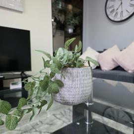 FM Homes & Apartments 3 Bedroom House Motherwell, Hotel in Motherwell