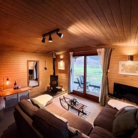Cosy Log Cabin in Machynlleth - Wales - Wifi & Parking, hotel in Machynlleth