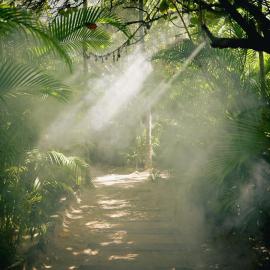 Nômade Temple Tulum