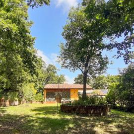 2 Bedroom Stunning Home In Monteverdi Marittimo