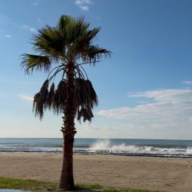 SunBeach Apartament