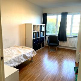 Cozy single room near Louisiana Museum and Train, hotel Humlebækben
