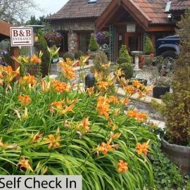 Bridge Farm Guesthouse rooms、ブリストルのホテル