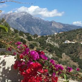 Loma Los Pelones 78, hotel i Viñuela