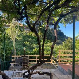 La Finestra sul Mare - Goelba, khách sạn ở Chiessi