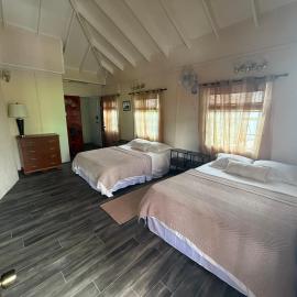 Downtown Roseau Stay Near Ferry, Stadium & Bustops, hotel in Roseau