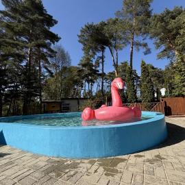 Ośrodek Wypoczynkowy Jelonek, Hotel in Wolsztyn