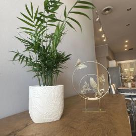 Sp+P apartment, hotel v mestu Alepou