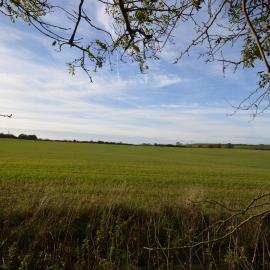 Simla - Wolds & Sea