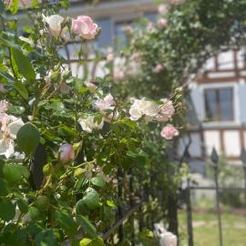 Blotzheim Hideaway, Cozy Studio Near Basel