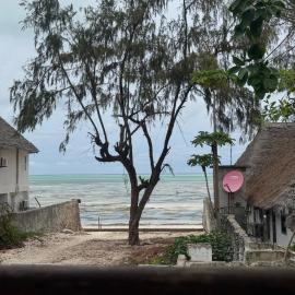 Beach House