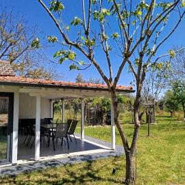 OliveGrove