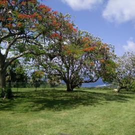 Spacious Central Countryside Apartment Saint George Barbados, hotell i Saint George