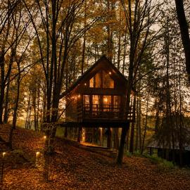 Na Skraju Lasu Domek na Drzewie & Glamping, hotel in Kazimierz Dolny