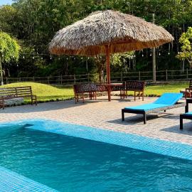 Loop Tribe Hostel