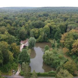 Gîte Nid dans la Forêt