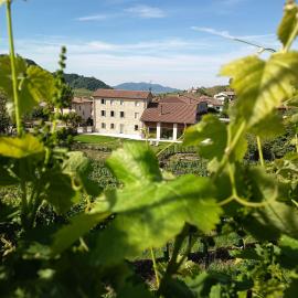 Agriturismo Rive De Guia، فندق في فالدوبياديني
