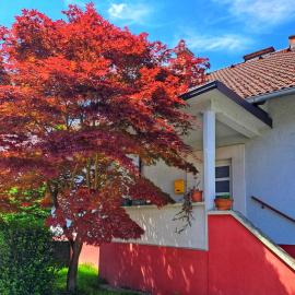 Family Apartment near Terme Čatež - 4C