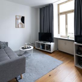 LU16 One Bamberg - Modern, Zentral, Haustierfreundlich mit Küche - BeMa Apartments