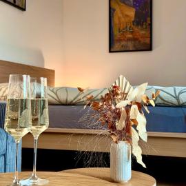 Slunečný apartmán s předzáhradkou Pasohlávky, hotel in Pasohlávky