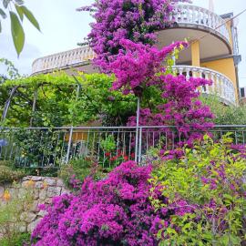 Apartments with parking space Medveja, Opatija - 7721