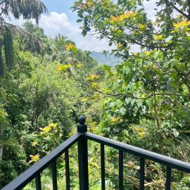 The Ambuluwawa Mount Feet – hotel w mieście Gampola