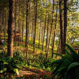 Los Pinos EcoHotel、Hoboのホテル