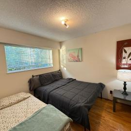 Deluxe Private Family Queen Room