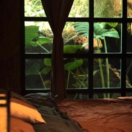 Bluebird chill homestay with Bamboo and Stream