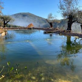 Quinta das Riquezas、ドルネスのホテル