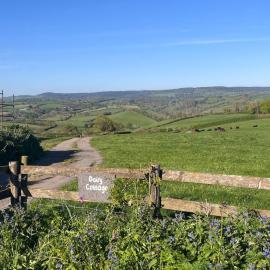 Dairy Cottage, hotel a Hennock