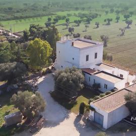Masseria Giangrande - Rooms and Apartment