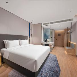Holiday Inn Express Shenzhen Baolong Metro Station by IHG,深圳的飯店