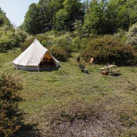 Stones and Stars Boutique Glamping in Radford Quarry Lhyner, hotel in Plymouth