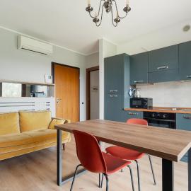 GuestHost - Bright Terrace Studio X2 Affori MM3