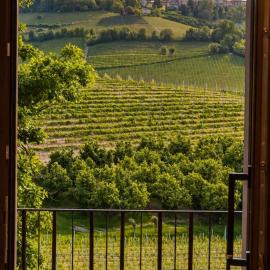 Villa Irene Langhe, hotel u gradu Monforte d'Alba