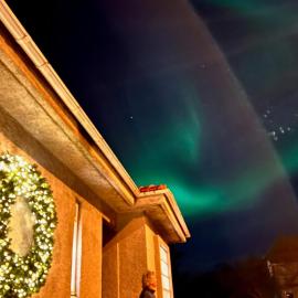 Casa Dísa - Dreams, A Boutique Guesthouse in Reykjavik City`s Central Park and Botanical Garden in Laugardalur, Hot-Spring-Valley