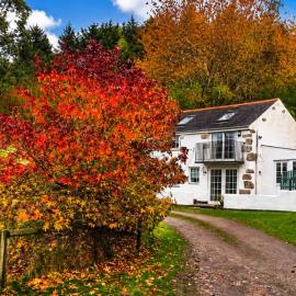 Holiday Cottage Falmouth