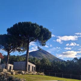 Quinta do trigal