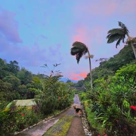 EcoLodge La Pluma, hotel a Salento