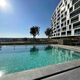 Explore Ellipse Properties